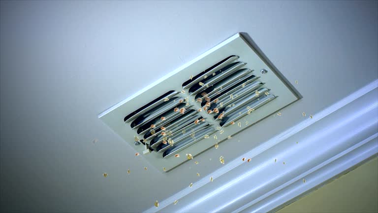 Best Residential Air Duct Cleaning  in Long Grove, IA