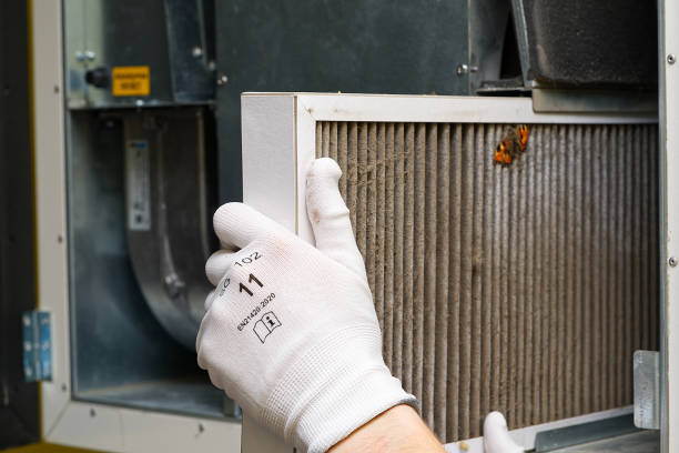 Best HVAC System Cleaning  in Long Grove, IA